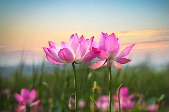 Cách Đáp Trả Người Khách Đối Xử Xấu Với Mình